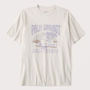 Abercrombie & Fitch Oversized Boyfriend Palm Springs Graphic Tee